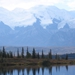 Image for Wild Alaska
