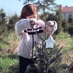 Image for the Film programme "A Christmas Tree Miracle"