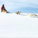 Image for the Scientific Documentary programme "Let it Snow"