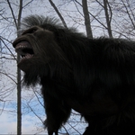 Image for the Film programme "Bigfoot"
