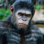 Image for the Film programme "Dawn of the Planet of the Apes"