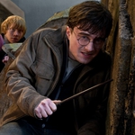 Image for the Film programme "Harry Potter and the Deathly Hallows: Part 2"