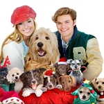 Image for the Film programme "12 Dogs of Christmas: Great Puppy Rescue"