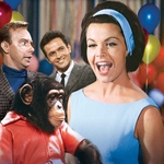 Image for the Film programme "The Monkey's Uncle"