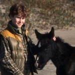 Image for the Film programme "Touching Wild Horses"