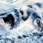 Image for the Film programme "Age of Ice"