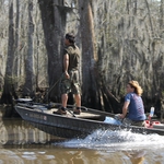Image for the Documentary programme "Beasts of the Bayou"