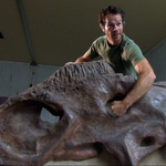 Image for the Documentary programme "Dino Hunt"