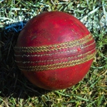 Image for the Sport programme "Cricket Short"