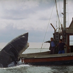 Image for the Film programme "Jaws"