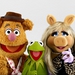 Image for The Muppets