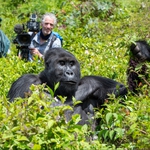 Image for the Nature programme "Gorilla Family and Me"