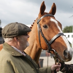 Image for the Documentary programme "Dark Horse the Incredible True Story of Dream Alliance"