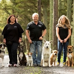 Image for the Documentary programme "Give a Dog a Home"
