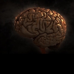 Image for the Scientific Documentary programme "Brain Games"