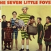 Image for The Seven Little Foys