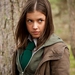 Image for Wolfblood Secrets