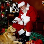 Image for the Film programme "A Dog for Christmas"