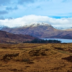 Image for the Nature programme "Countryfile Winter Diaries"