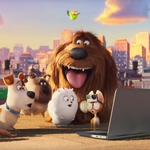 Image for the Film programme "The Secret Life of Pets"