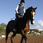 Image for the Sport programme "Equestrianism"