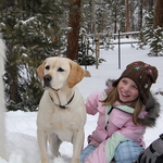 Image for the Film programme "The Dog Who Saved Christmas Vacation"