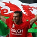 Image for Match of the Day Wales Live