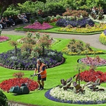 Image for the Gardening programme "Britain in Bloom"