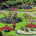 Image for Britain in Bloom